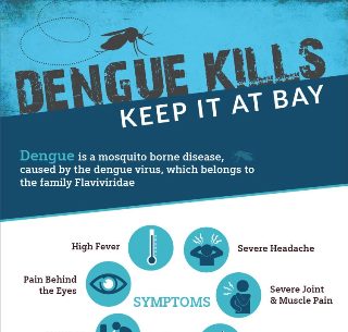 Dengue Kills Keep it Bay