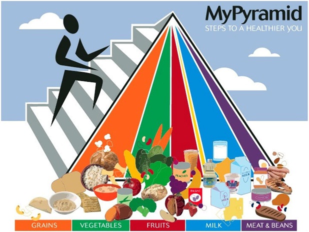 mypyramid steps