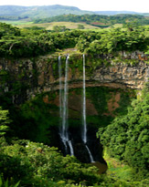 Trek through a rainforest