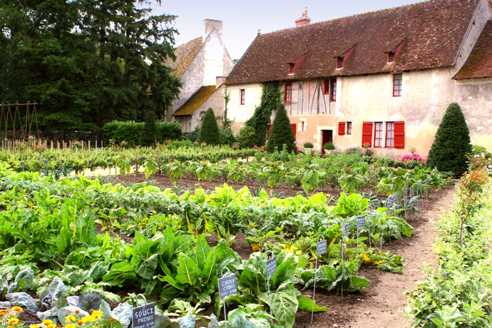 A well cultivated kitchen garden