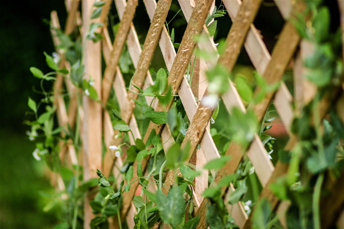 Implementation of trellis for adequate support