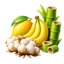Annual Commercial/Horticultural