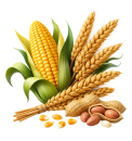 Food & Oilseeds crops