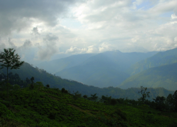 Darjeeling to Gangtok - Road Trip