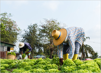 Health Insurance Scheme For Migrant Labourers