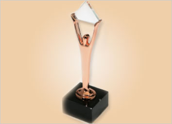 ICICI Lombard wins Stevie Award