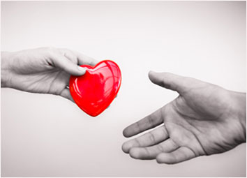 Organ Donation