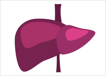 Preventive Tips for Liver Diseases