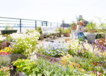 rooftop-garden