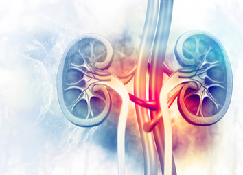 Secrets to Keeping Your Kidneys Healthy