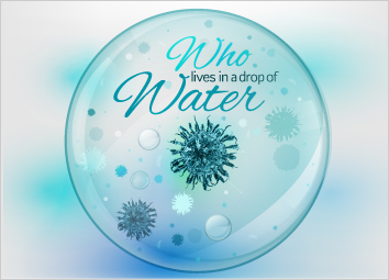 Stagnant water, a source for breeding