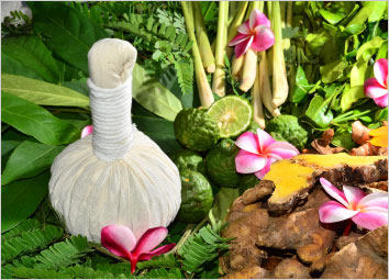 Traditional Medicine