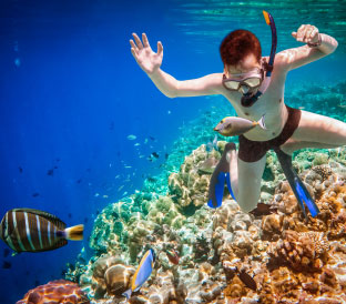 Amazing underwater world-Maldives
