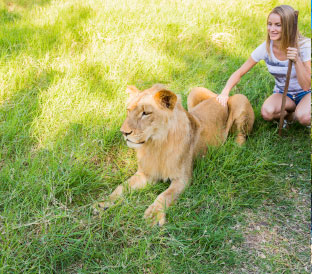 Go Wild at Casela Nature Park Mauritius