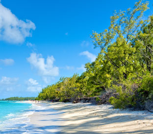 Relax at Ile Aux Cerfs Island Mauritius