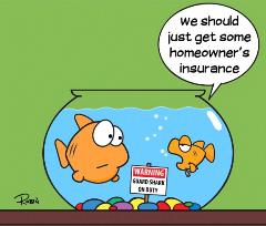 need_home_insurance