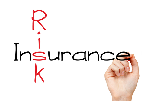 risk-n-insurance