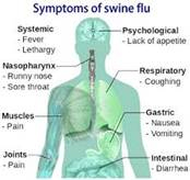 What Are The Symptoms Of Swine Flu?